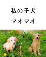 イメージ画像